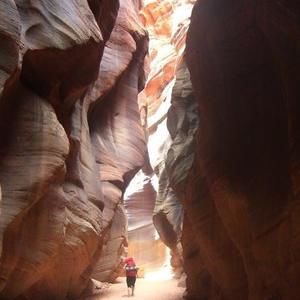 Meet your Posher, Tiffany